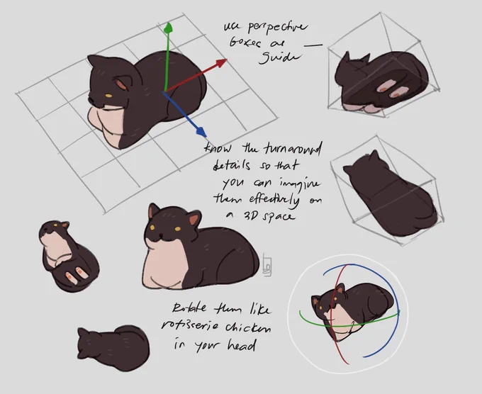 im glad yall are amused perspective box cat, and it even inspired some of you to do the exercises!! its important that we have a lil fun as we learn
here's my OG notes of that lesson lol (ft maxwell "thats not really his name" meme cat) 