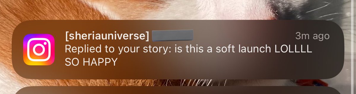 heesngluvr's tweet photo. ok ik i said gn but why did my ACTUAL crush reply to my fuckass heeseung story 😭😭😭😭😭 JUST K!LL ME https://t.co/FIaFwNtKgR