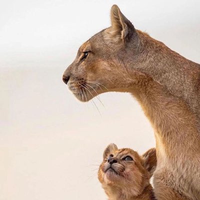 katli55's tweet photo. #NewProfilePic https://t.co/ssKIlLPItf
