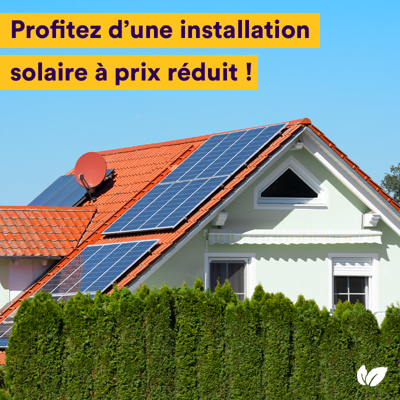 Mint 🌱 tweet media