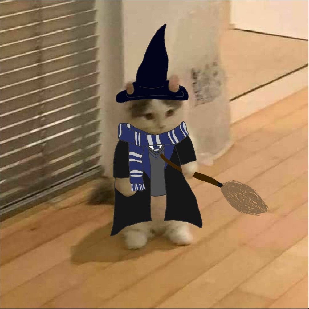 WASSRCRPRIM's tweet photo. @HGWARTSMAIN prim + ravenclaw + 2:07 pm + yes!

this is berto 😊 https://t.co/a0pMdeMokm