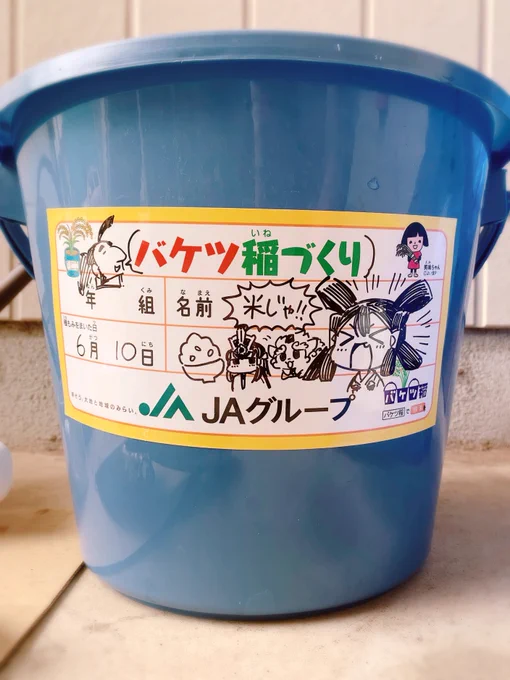 4日目!記念すべき種まきじゃ〜!!ちょっとずつ水を入れながら土を泥にしていくんですが、どんどんスコップが重くなっていて思っていた何倍も力作業でした…!それから芽出しした種もみを入れて、指で押し込み種まき完了。こやつらめすくすく育つのじゃ〜!!! #サクナバケツ稲作日誌 