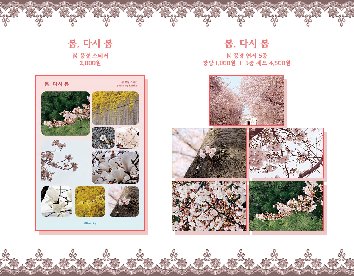 Blueing_k's tweet photo. 🌸봄, 다시 봄 엽서&amp;스티커 업데이트🌸
https://t.co/7pvjVY39Fx

#블루잉 #Blueing https://t.co/ThTNmV6R5B