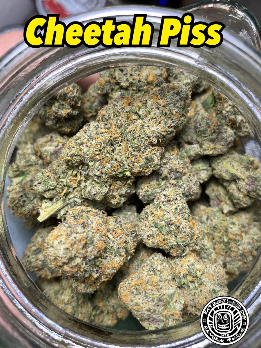 Fat Buds Weed Shop tweet media