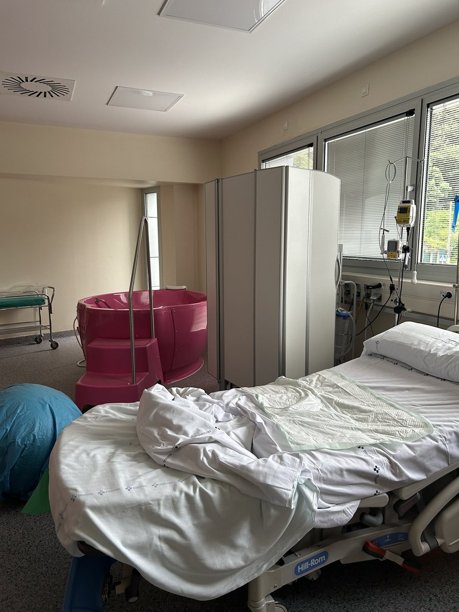 SrtaNightingale tweet media