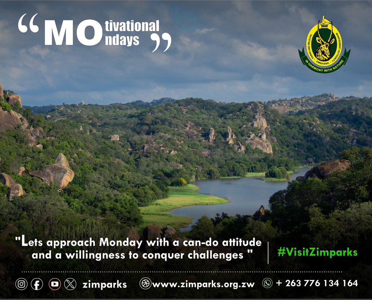 Zimparks's tweet photo. Motivational Mondays…. https://t.co/lIaFIhu2KY