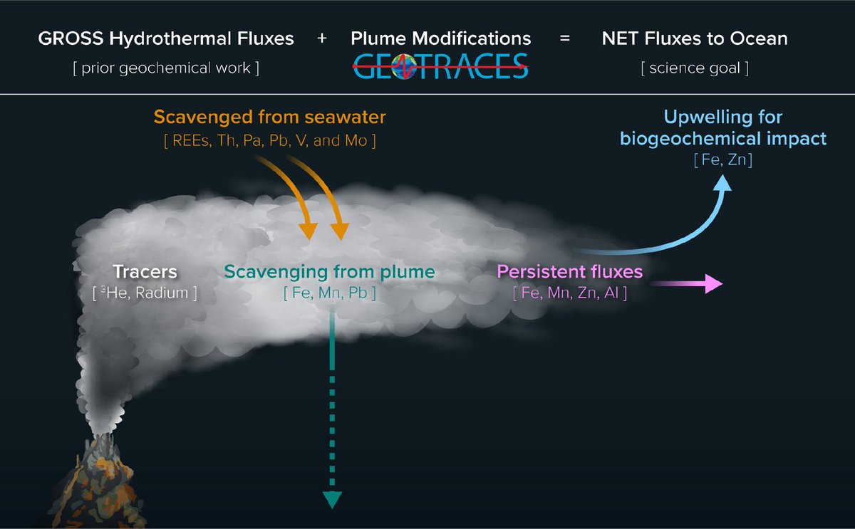 Excellent review by <a href="/JessFitzsimmons/">Jessica Fitzsimmons</a> of <a href="/geotraces/">GEOTRACES</a> work improving our understanding of #hydrothermal #plume #biogeochemistry  | doi.org/10.5670/oceano…
#HOT_Hg