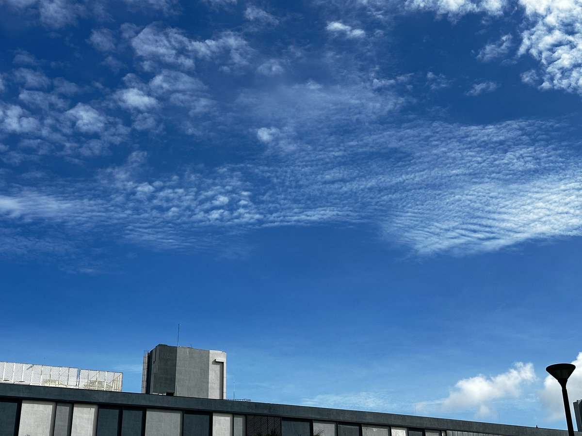 vrundavs's tweet photo. nothing in the air but
clouds.
nothing in the air but
rain.
each man’s life too short to
find meaning and
all the books almost a
waste.
I sit and listen to them
singing...
I sit and listen to
them...
Charles Bukowski ☁️ ⛅️
#monsoonseason #junedays #clouds #vrupix https://t.co/4d9p9sZYm7