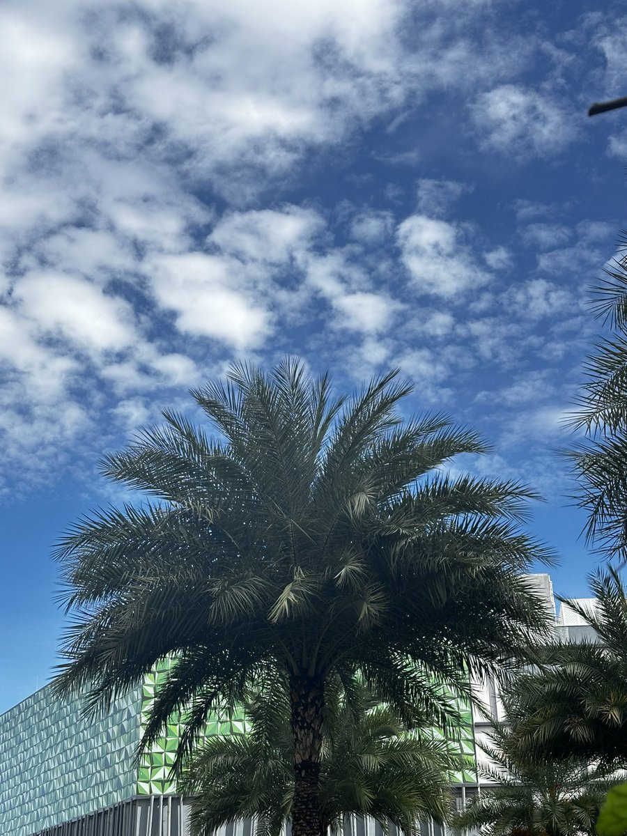 vrundavs's tweet photo. nothing in the air but
clouds.
nothing in the air but
rain.
each man’s life too short to
find meaning and
all the books almost a
waste.
I sit and listen to them
singing...
I sit and listen to
them...
Charles Bukowski ☁️ ⛅️
#monsoonseason #junedays #clouds #vrupix https://t.co/4d9p9sZYm7