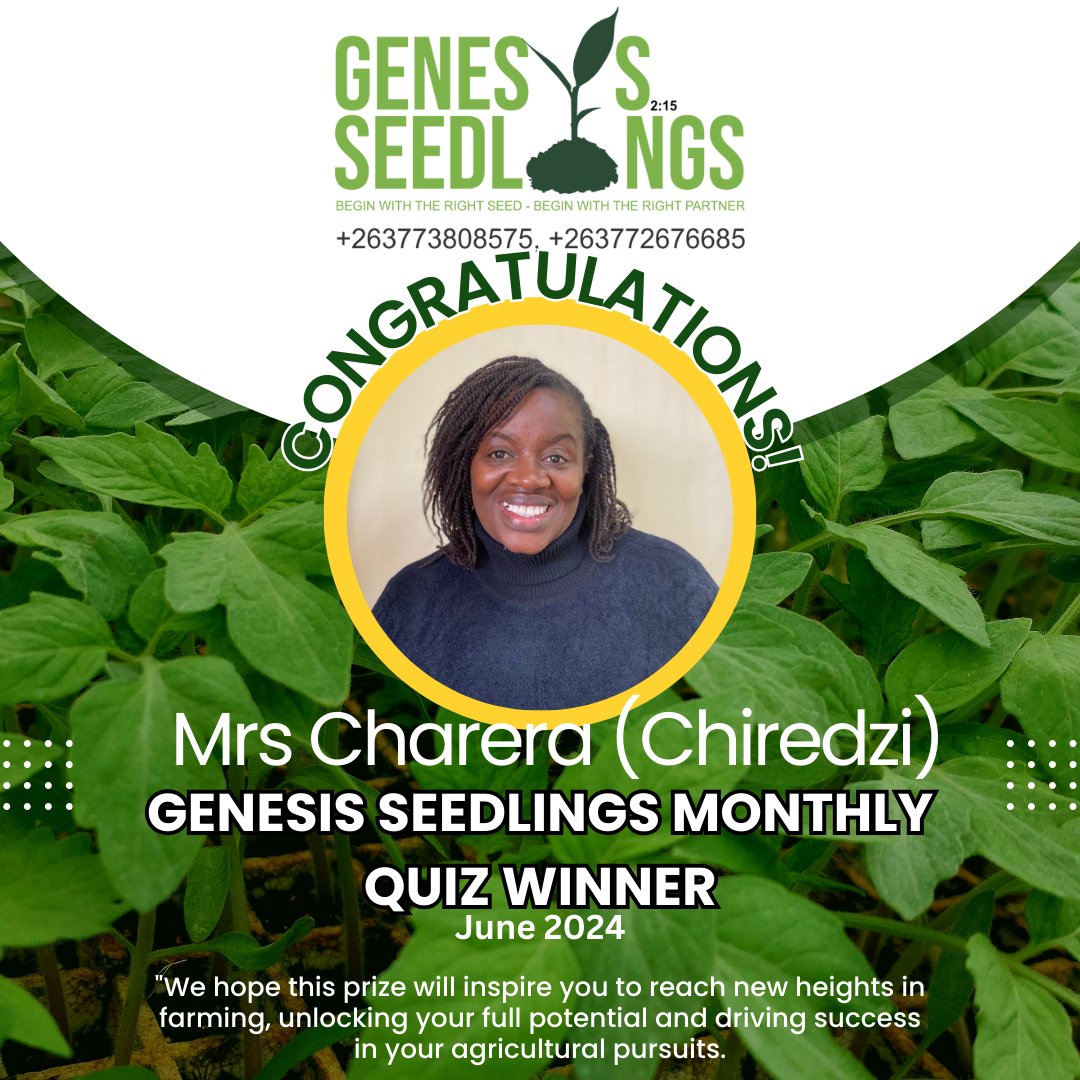 GenesisSeedling's tweet photo. Click the link for answers to the Quiz 
https://t.co/5aQ15Hgf1O

@SyngentaZW @Charterseeds @1Humuson @FreshDaramombe @WendyMadzura https://t.co/PTp9t1kLJy