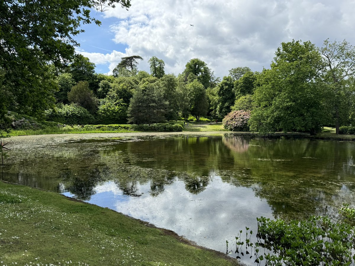 A lovely day volunteering <a href="/ClaremontNT/">Claremont Landscape Garden</a>  working as a harbourmaster on the boats! Lots of visitors enjoying their time on the lake and the lovely sculptures the garden currently has on display <a href="/nationaltrust/">National Trust</a> <a href="/southeastNT/">National Trust South East</a>