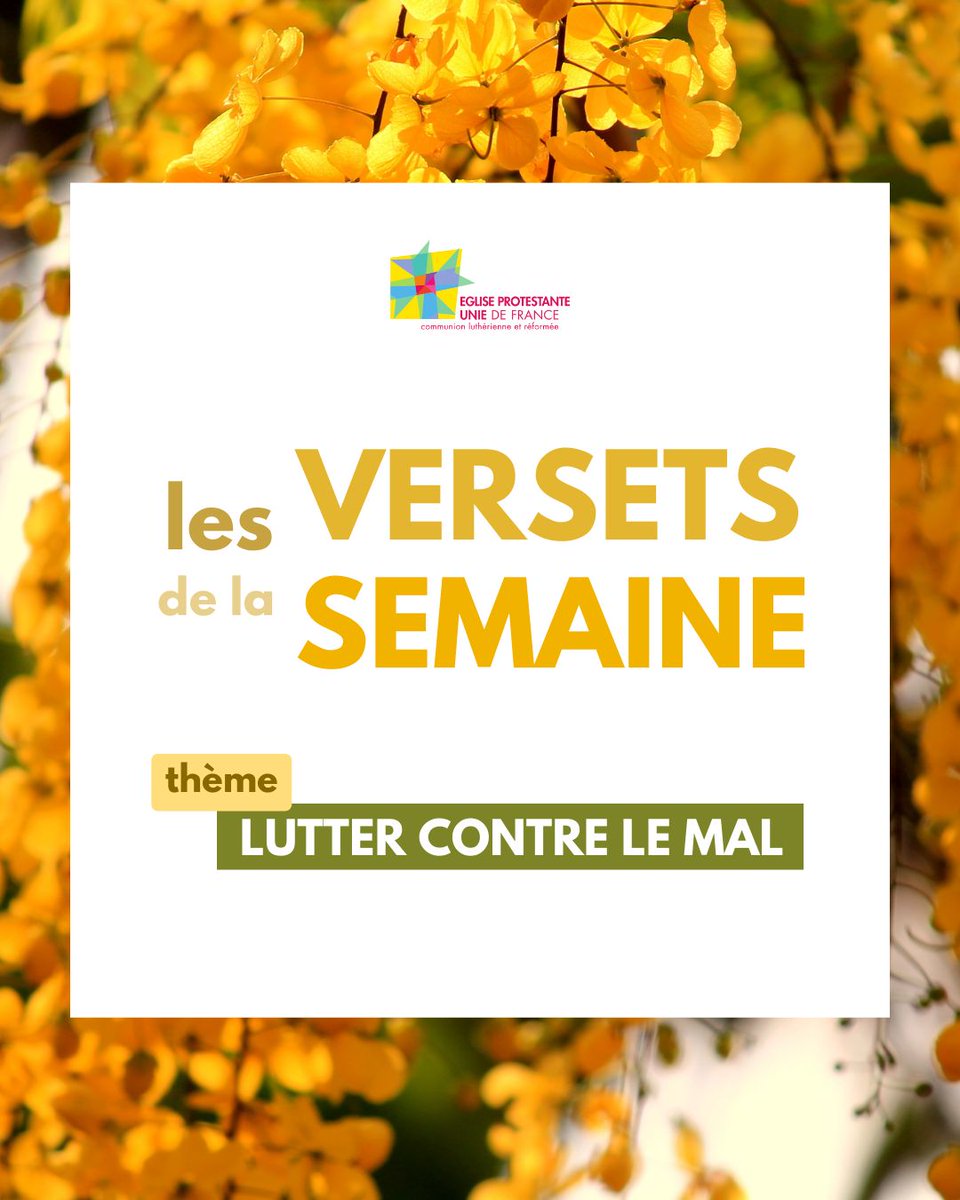 EPUdF's tweet photo. Cette semaine, plongeons dans les versets qui nous guident dans notre lutte contre le mal. Explorez les enseignements bibliques sur la résistance contre les forces obscures, la recherche de la justice et la victoire sur le péché.
#versetdujour #parolededieu #Bible #Justice https://t.co/KasJi7RBSt