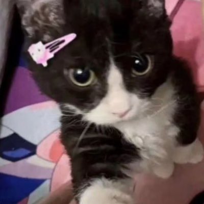 answerstay6677's tweet photo. #新头像 https://t.co/6fu6G1aGlT