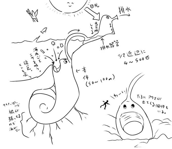 かわいいね 