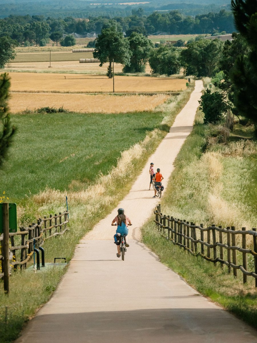 🚴‍♂️ Descobreix la Via Verda del Carrilet II!

De Girona a Sant Feliu de Guíxols, 41,9 km de natura i cultura per gaudir a peu o en bicicleta. Uneix-te a la mobilitat sostenible i descobreix l'encant de les comarques gironines! 🌳

📸 Álvaro Sanz #ViesVerdesGi #CarriletII #Girona
