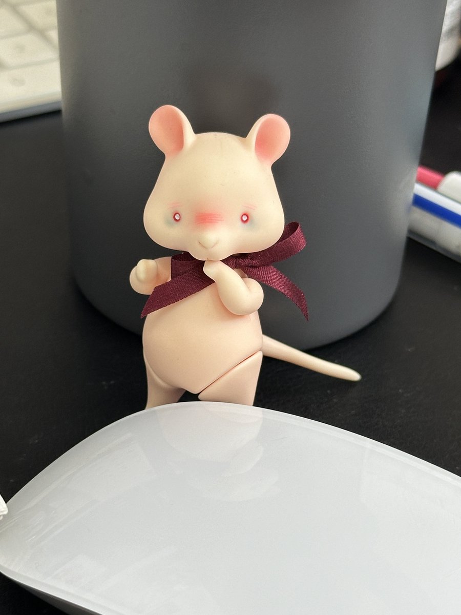 만성피로 신멍뭉 (｡☌ᴗ☌｡) tweet media