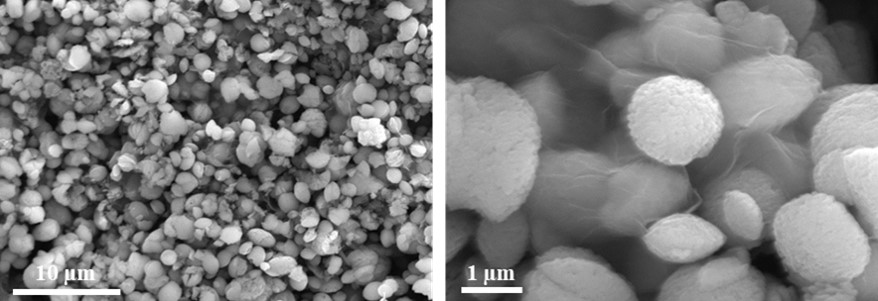 And in doi.org/10.1016/j.jma.…, we improve the corrosion resistance and mechanical integrity of bioresorbable Mg implants via graphene–calcium carbonate coating, a great collaboration between <a href="/MonashUni/">Monash University</a>, <a href="/CSIRO/">CSIRO</a>, <a href="/ChariteBerlin/">Charité - Universitätsmedizin Berlin</a> and <a href="/ETH_Materials/">ETH Department of Materials</a>; <a href="/JMA_IMS/">JMA</a>, <a href="/KeAiPublishing/">KeAi Publishing</a>
(4/4)