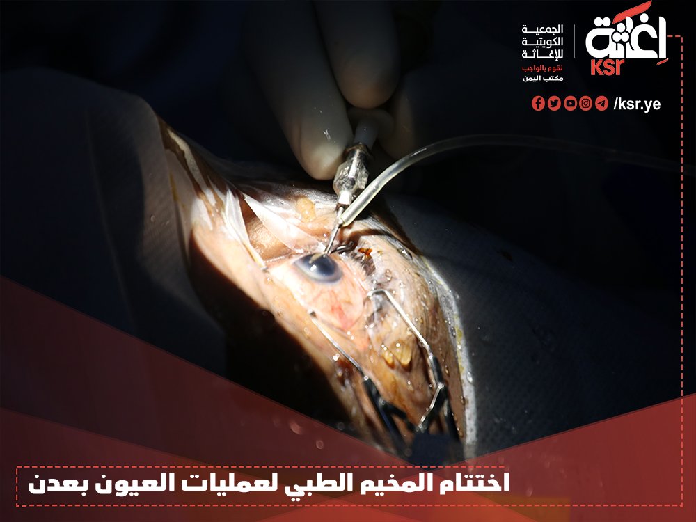 الجمعية الكويتية للإغاثة ـ مكتب اليمن tweet media