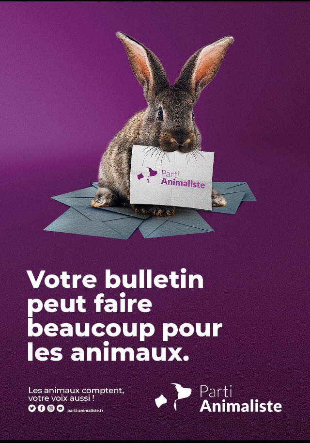GuPrevel's tweet photo. Malgré un résultat décevant, nous tenons à remercier les 495 697 voix (+𝟓𝟔𝟐𝟑📈 par rapport aux européennes 2019) véritablement humaine qui n’oublient pas le zoocide quotidien que nous faisons subir, partout et tout le temps aux animaux
Le combat continue 💜🐥#Legislatives2024 https://t.co/4wSmd5wcDu