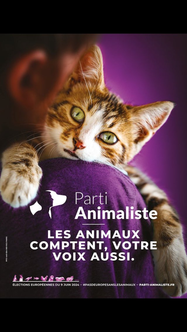 GuPrevel's tweet photo. Malgré un résultat décevant, nous tenons à remercier les 495 697 voix (+𝟓𝟔𝟐𝟑📈 par rapport aux européennes 2019) véritablement humaine qui n’oublient pas le zoocide quotidien que nous faisons subir, partout et tout le temps aux animaux
Le combat continue 💜🐥#Legislatives2024 https://t.co/4wSmd5wcDu