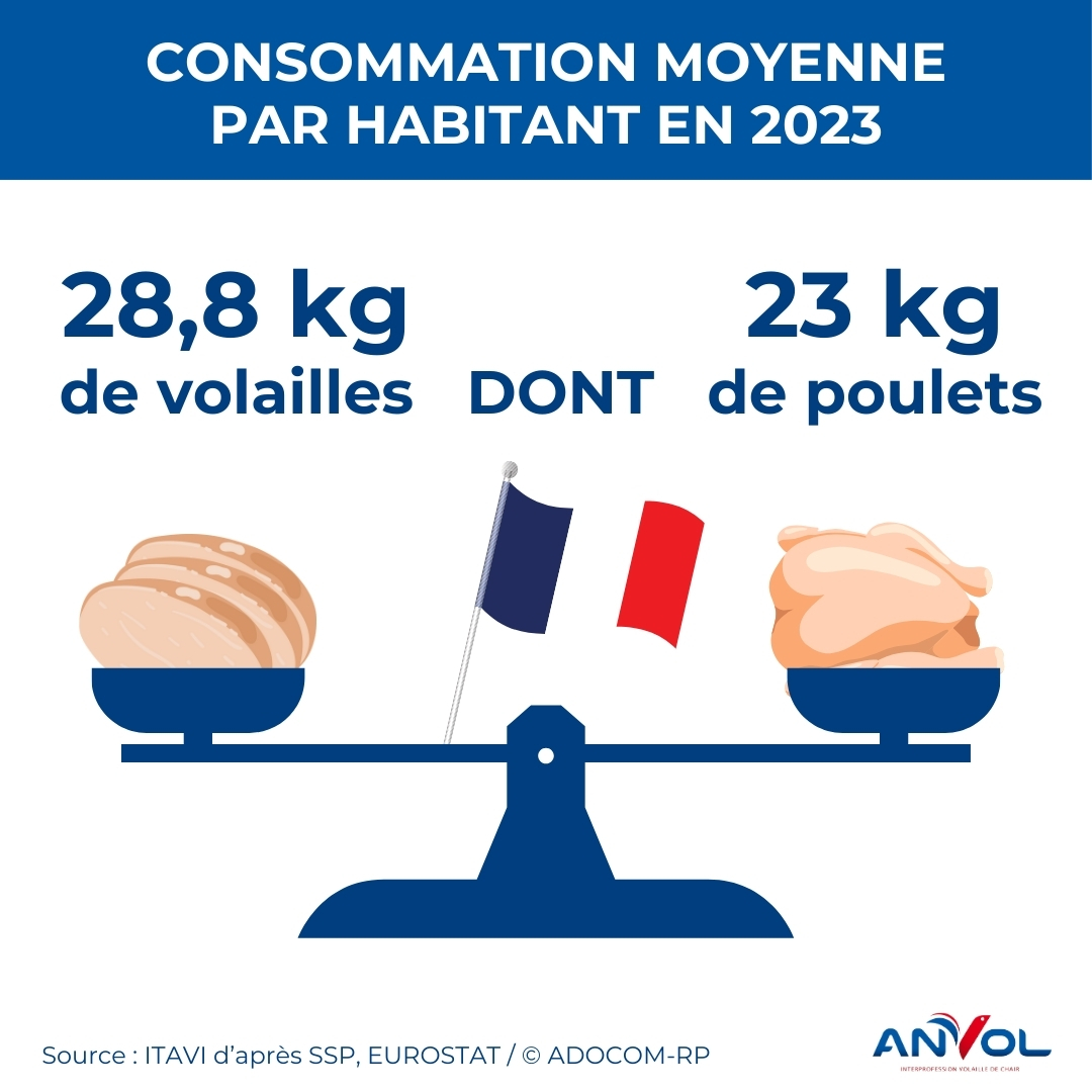 Interpro_Anvol's tweet photo. 🔎 Le saviez-vous ? Les Français augmentent leur consommation de #volailles ! 
En 20223, chaque Français a consommé 28,8 kg de volailles sur l’année, dont 23 kg uniquement de #poulets. Il s’agit de la 2e viande la plus consommée France, juste après le porc. 🍗 https://t.co/Iqo7AGu6gk