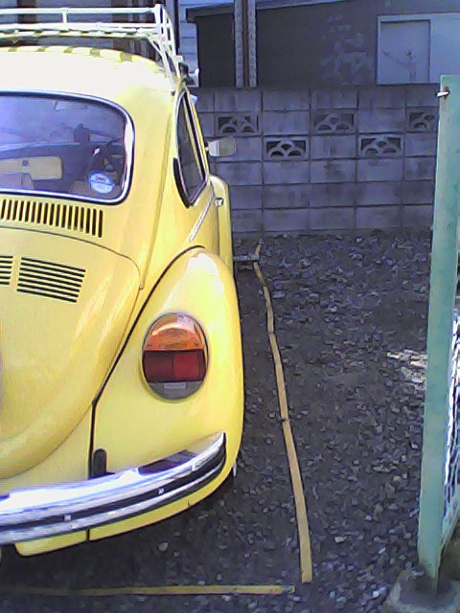 3104_mit's tweet image. 黄色のカブトムシ

#toycamera #トイデジ #kenko #pieni_m