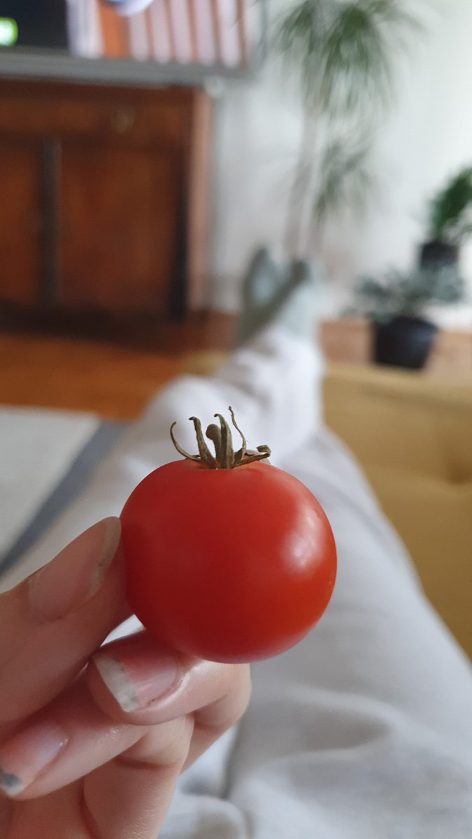 Krece berba🙆🏼‍♀️