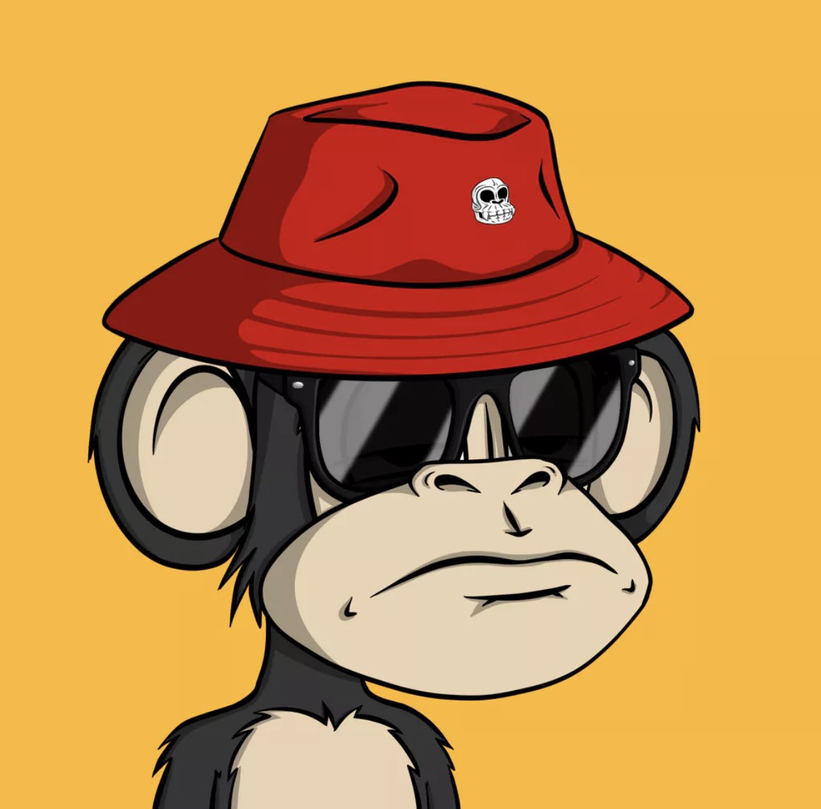 BOBOUSD tweet picture