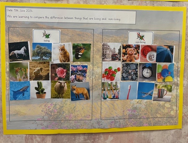 WhitewaysY2's tweet photo. Year 2 children are amazing Scientists! https://t.co/RApNRfFe1G