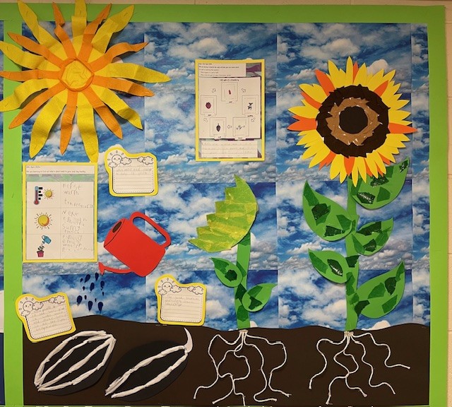 WhitewaysY2's tweet photo. Year 2 children are amazing Scientists! https://t.co/RApNRfFe1G