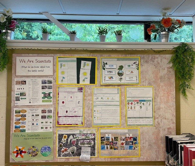 WhitewaysY2's tweet photo. Year 2 children are amazing Scientists! https://t.co/RApNRfFe1G