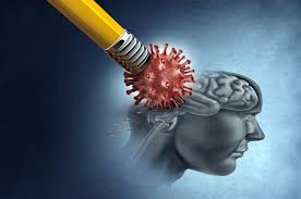 mera_cordero's tweet photo. https://t.co/5g4hA4xV1s
La función ejecutiva, la memoria, la atención y la velocidad de procesamiento parecen ser los dominios cognitivos predominantemente asociados con el #longcovid.  @BlueHealthcare  #COVIDpersistente https://t.co/ncEs77qKFR