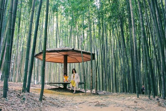 mutiarasir25491's tweet photo. Juknokwon โWisata Dengan Pemandangan Indah Dan Sejuk
Nikamti liburanmu di taman bambu yang sejuk!
https://t.co/A2LAhKZFYd
#juknokwon #bamboo #southkorea #koreaselatan #traveling #wisatamenarik #damyang #viral https://t.co/TeIueJMAcF