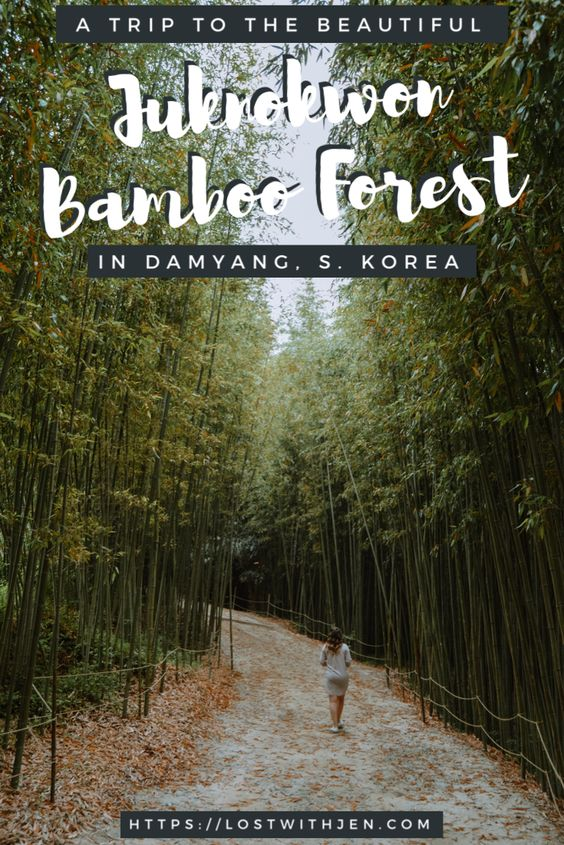 mutiarasir25491's tweet photo. Juknokwon โWisata Dengan Pemandangan Indah Dan Sejuk
Nikamti liburanmu di taman bambu yang sejuk!
https://t.co/A2LAhKZFYd
#juknokwon #bamboo #southkorea #koreaselatan #traveling #wisatamenarik #damyang #viral https://t.co/TeIueJMAcF