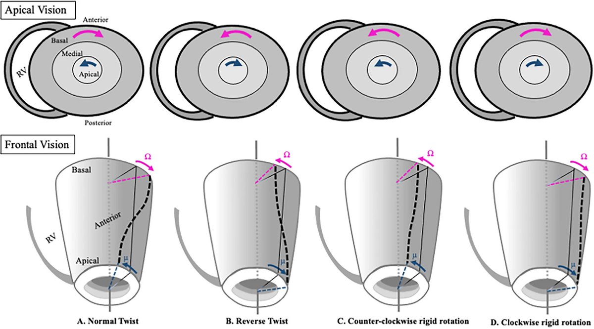 Juan Geraldo tweet media