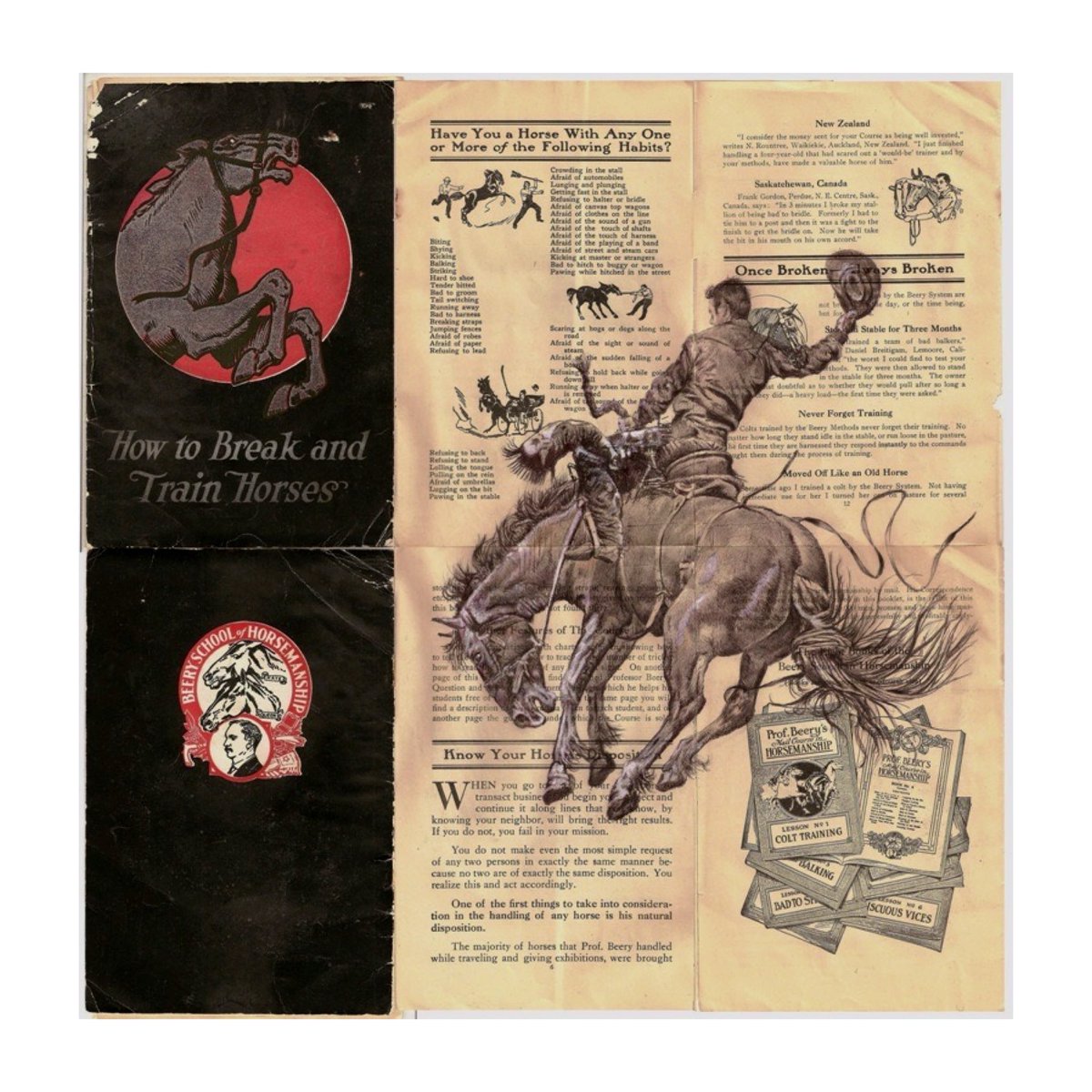 ScottMackie3's tweet photo. Once broken always broken.
🐎
Mixed media on vintage book pages.
Now available DM for more information.
🪬
#drawing #art #scottishgalleries #artist #black #ink #recycle #horses #horseart #rodeo #usa #scotland #aberdeen #picoftheday #instagood #gallery https://t.co/NFnedMBelC