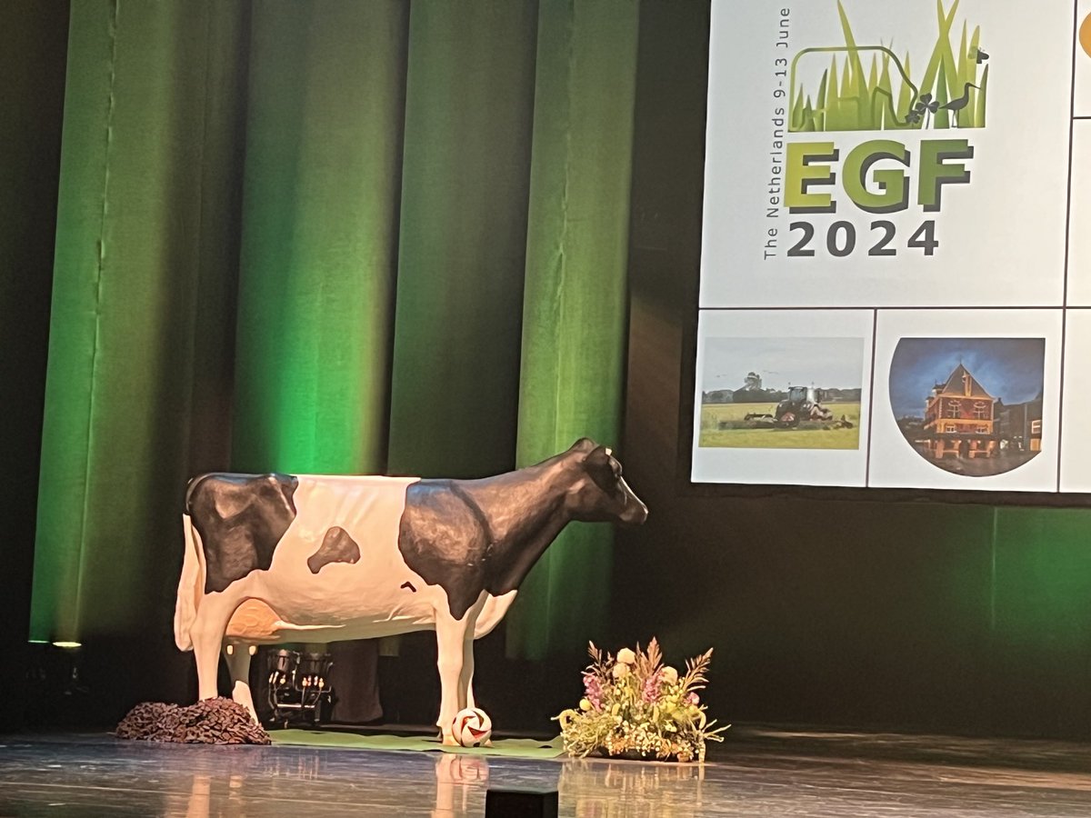 30th EGF General meeting is starting. Chrck out the cow's toy closely 😉 #EGF #grassland