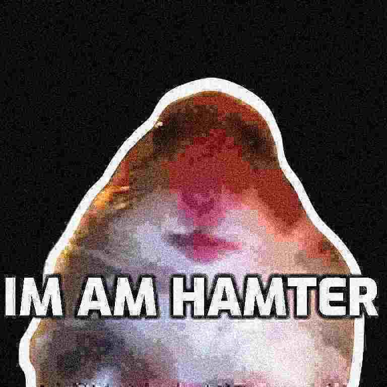 hamicoinsol's tweet photo. @kucoincom It's me 🐹 https://t.co/DJZLzTnIEA