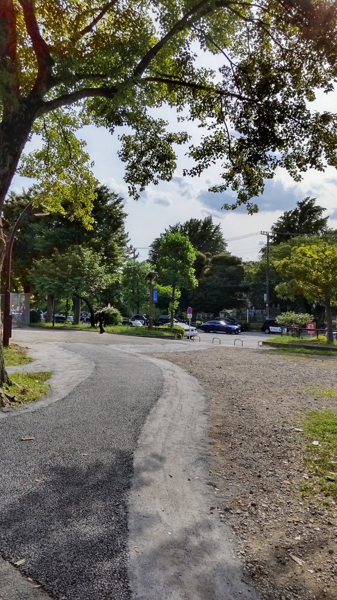 milski55's tweet photo. そういえば、先週、青山公園のトイレまでの道が軽く舗装された。これで雨の日でも歩きやすくなったな。 https://t.co/LdwKF3a0FN