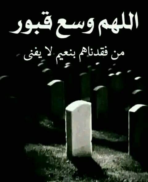 Maher tweet media