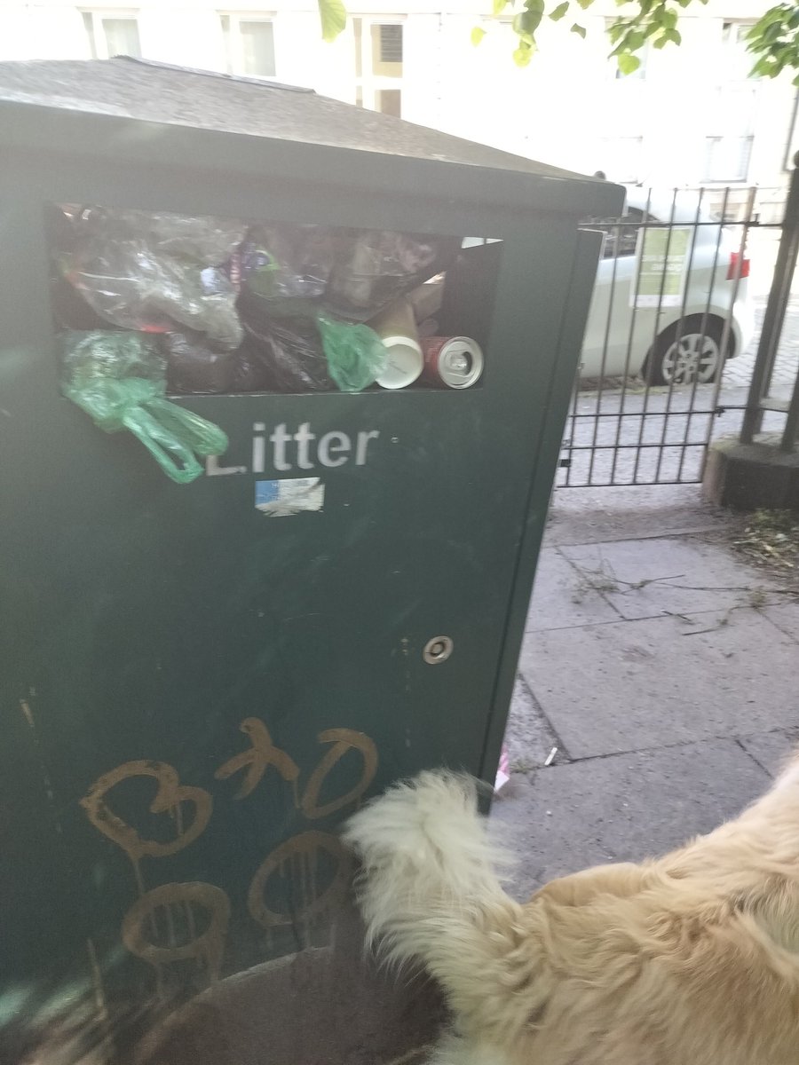diane_harbison's tweet photo. @Edinburgh_CC All 3 bins are full. Nowhere for dog walkers to dispose of their dog's 💩 https://t.co/aaIBl1PRlX