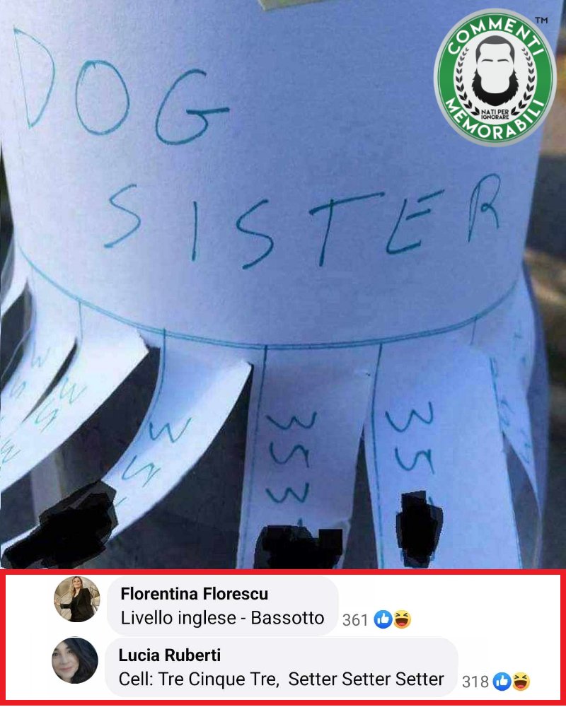 CM_Memorabili's tweet image. Titolo di studio: scontrino dell'Arcaplanet. #dogsitter #titolodistudiono #commentimemorabili