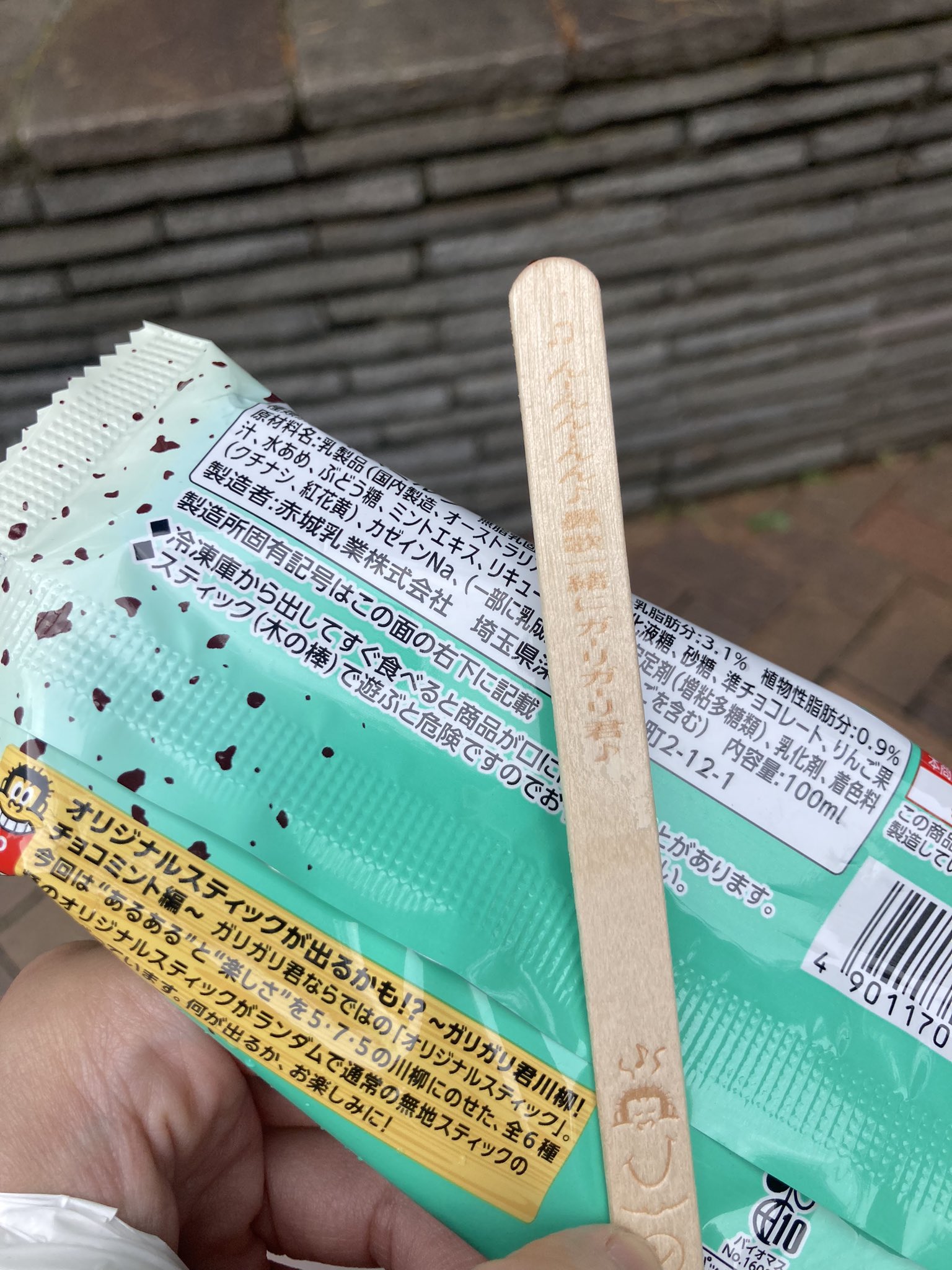 ガリガリ君の死骸 しぶい 木の棒付き