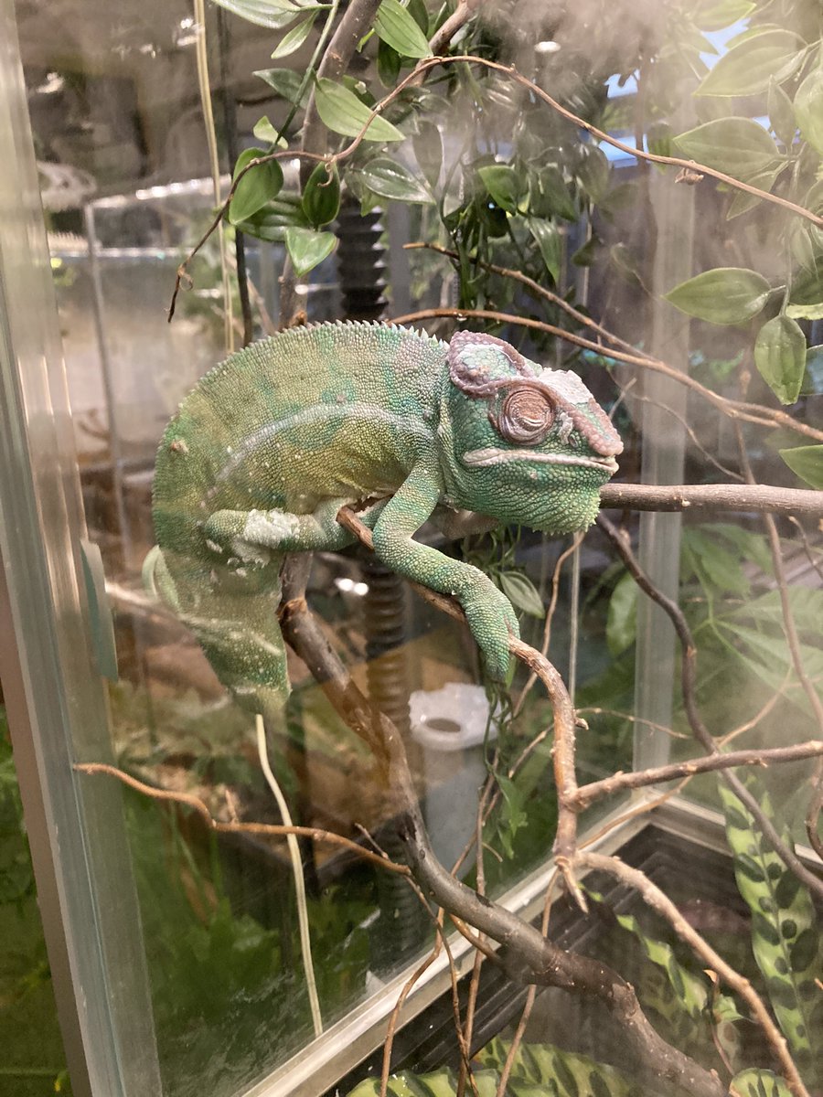 StolenCableBand's tweet photo. Went out to Funny Creatures Forest https://t.co/62ldsugUkz