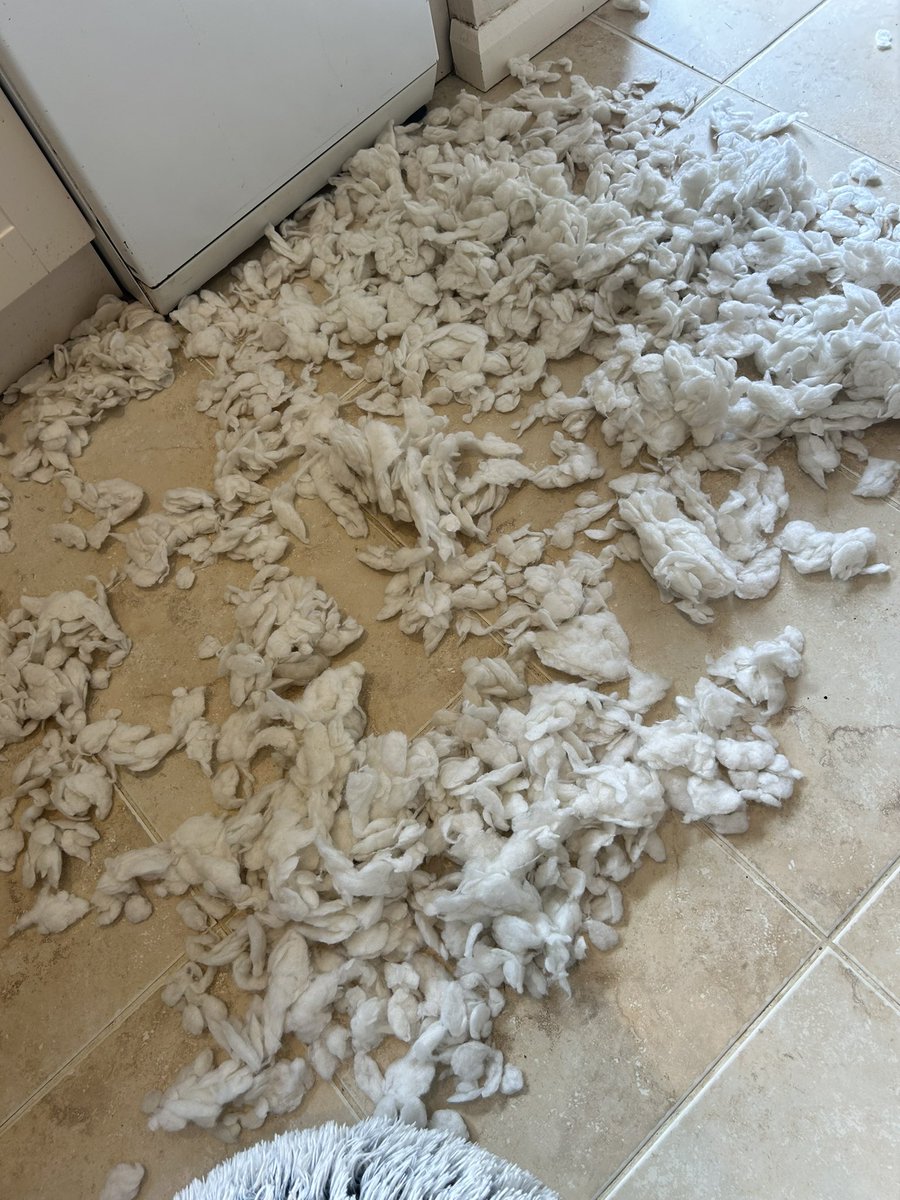 Phillipa Andrews tweet media