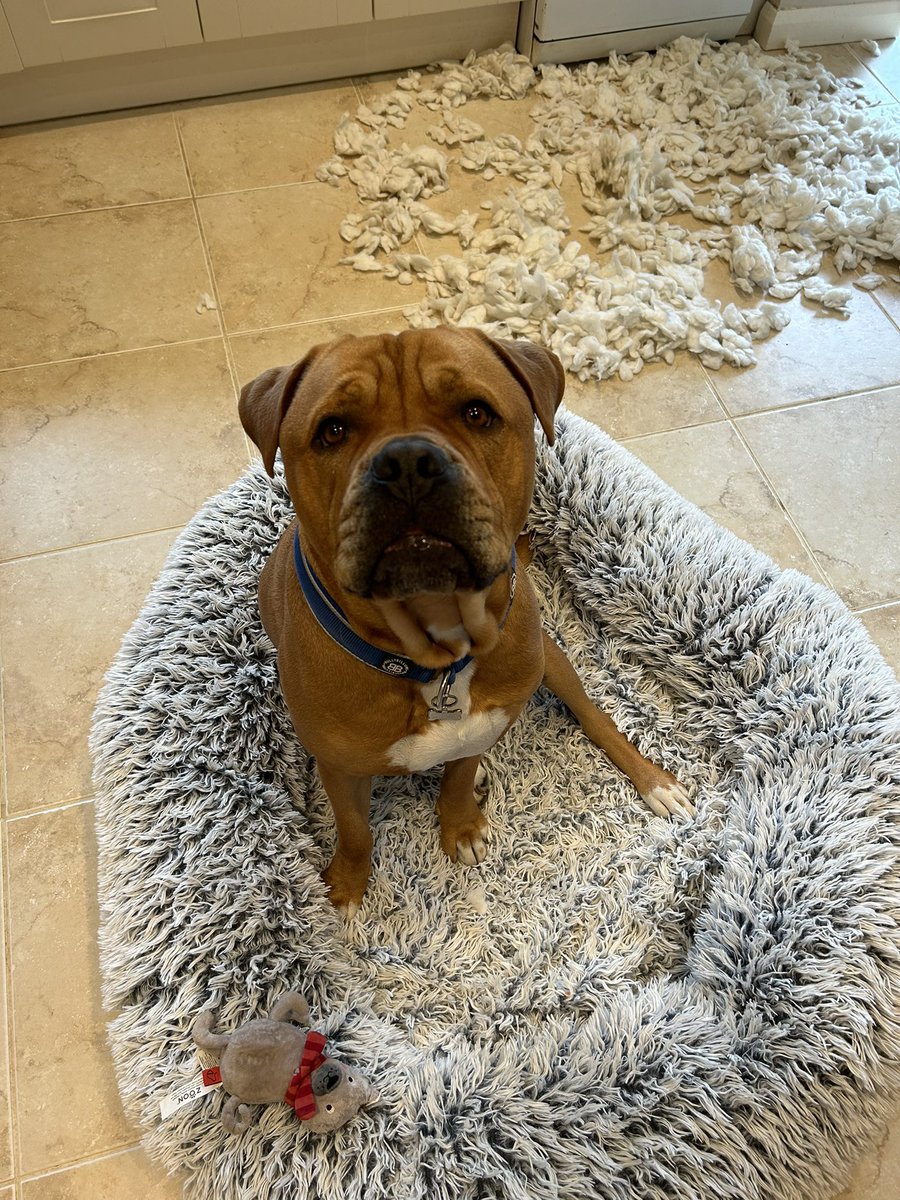 Phillipa Andrews tweet media