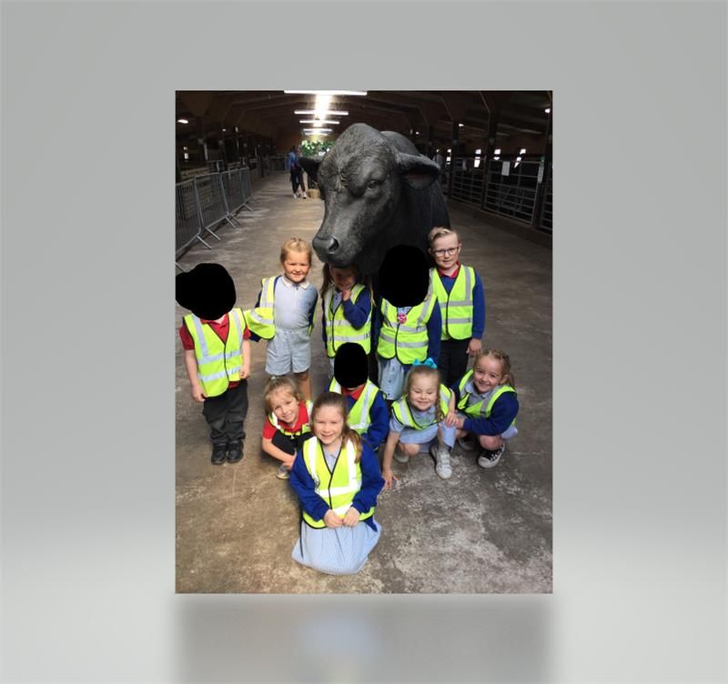 Reception children went on a trip to Attwell Farm Park on Thursday. We saw lots of different animals, learnt how to handle and feed them carefully and ended our day by having a play on the park. We can't wait to write all about our trip this week!