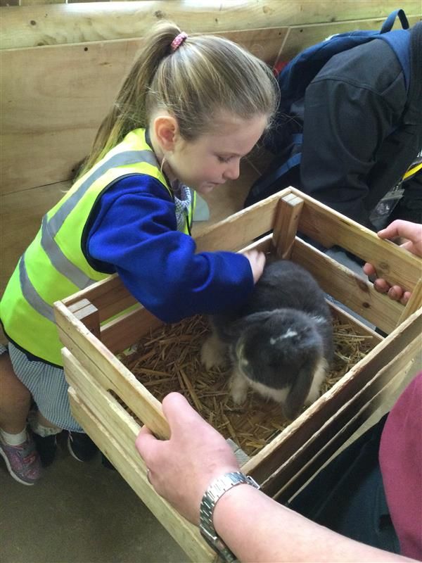 Holyoakes Field tweet media