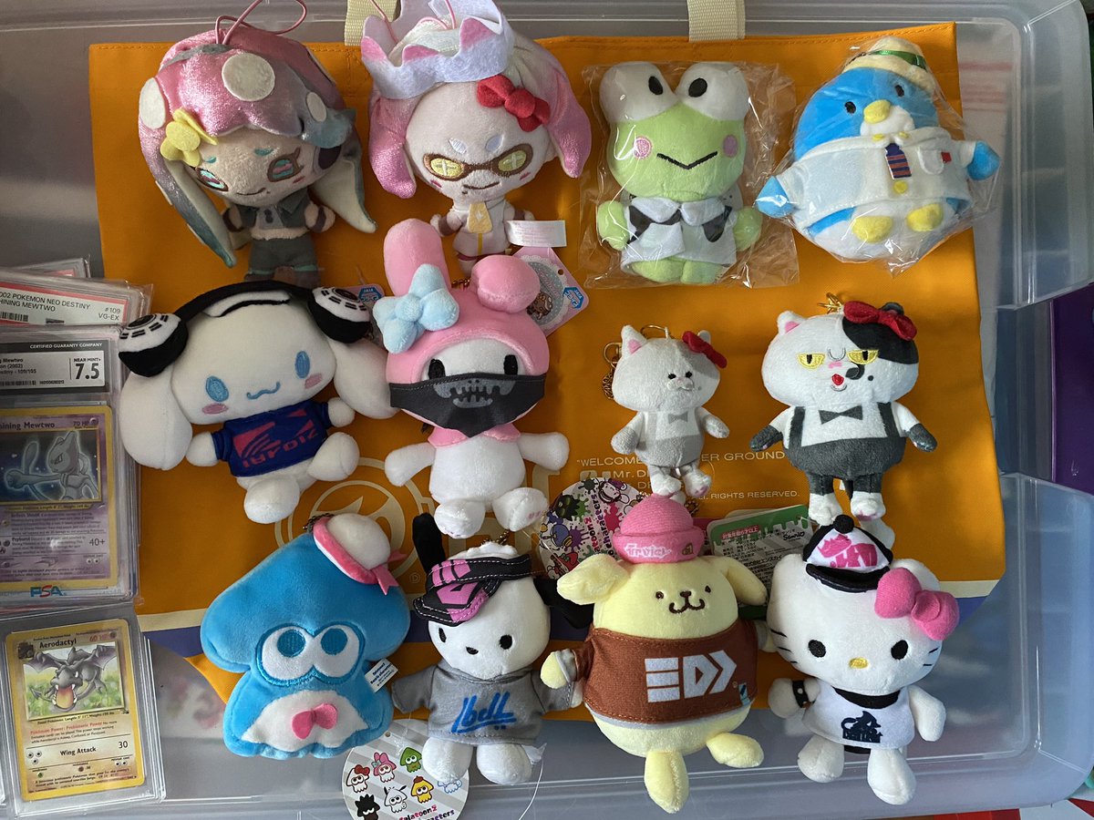 TheNintendoFeed's tweet photo. @sanriodaily To survive losing my job, the loss of my mother and to fundraise enough money to save my childhood home/HQ for The Nintendo Feed (where my online content is created), I’m selling my video game collection—including my massive Splatoon 2 x Sanrio collection. Every bit helps! https://t.co/UMJ7Kr2LcY