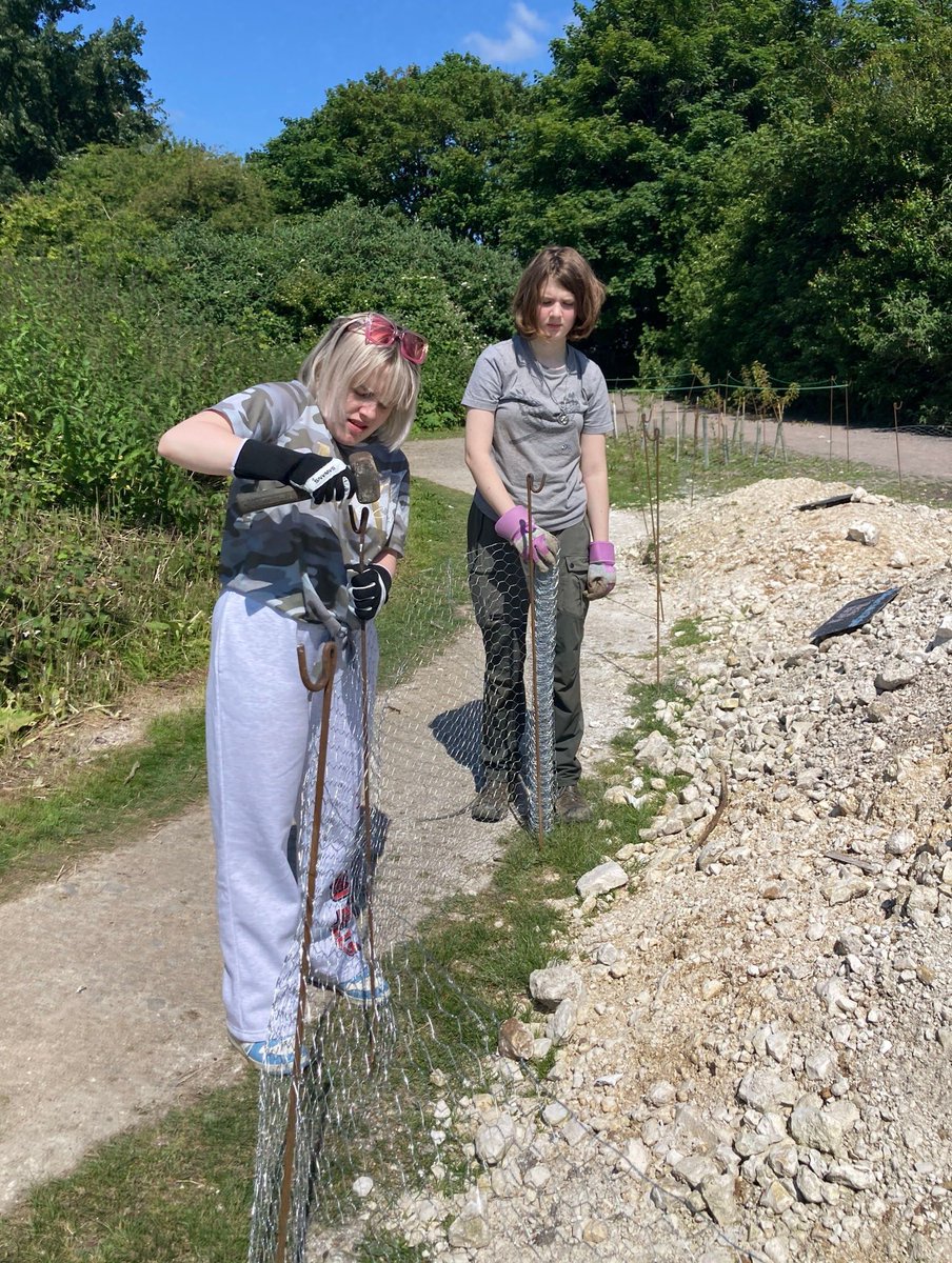Railway Land Wildlife Trust tweet media